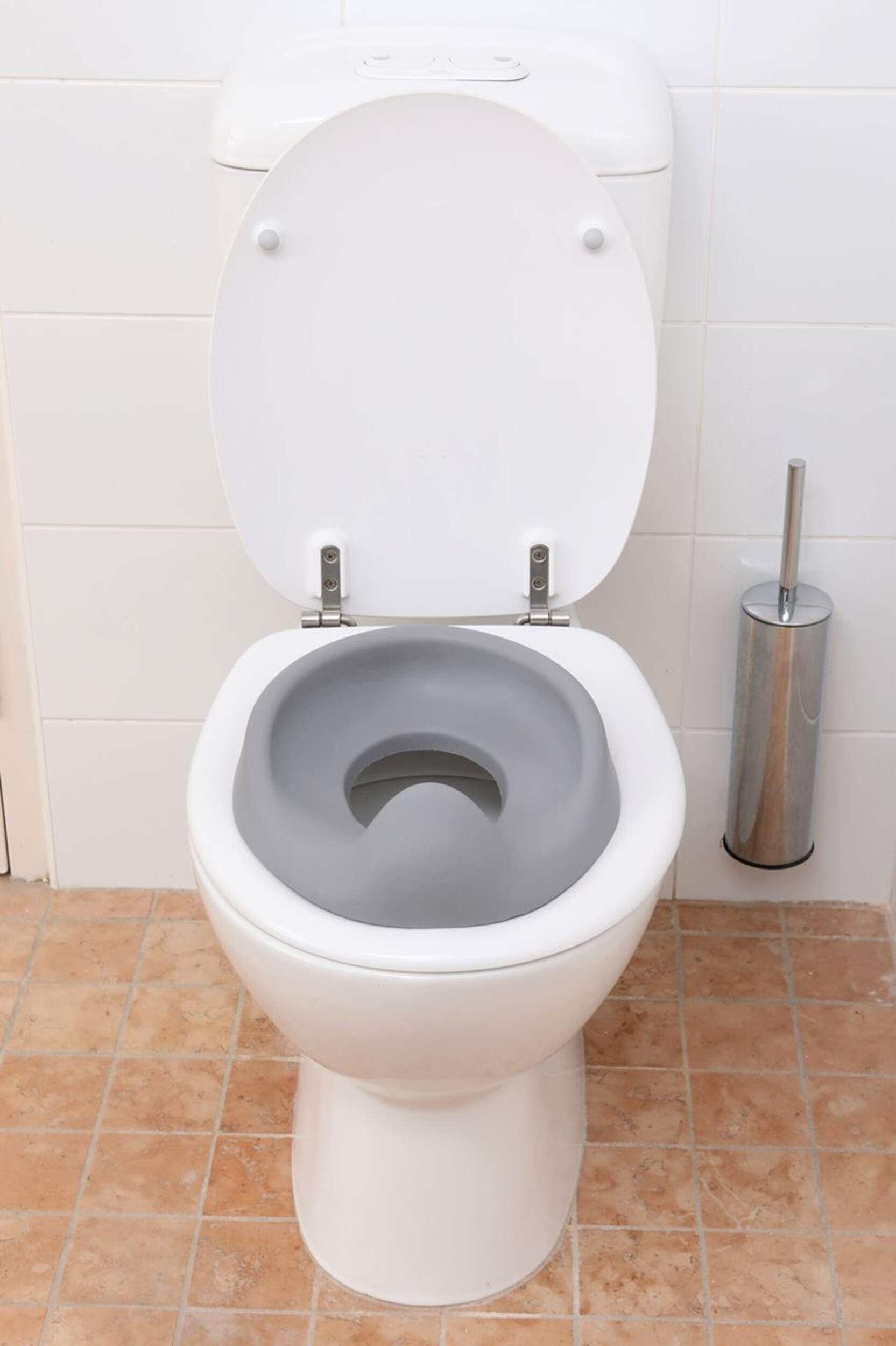 Dreambaby® Soft Touch Potty Seat Canadian Tire