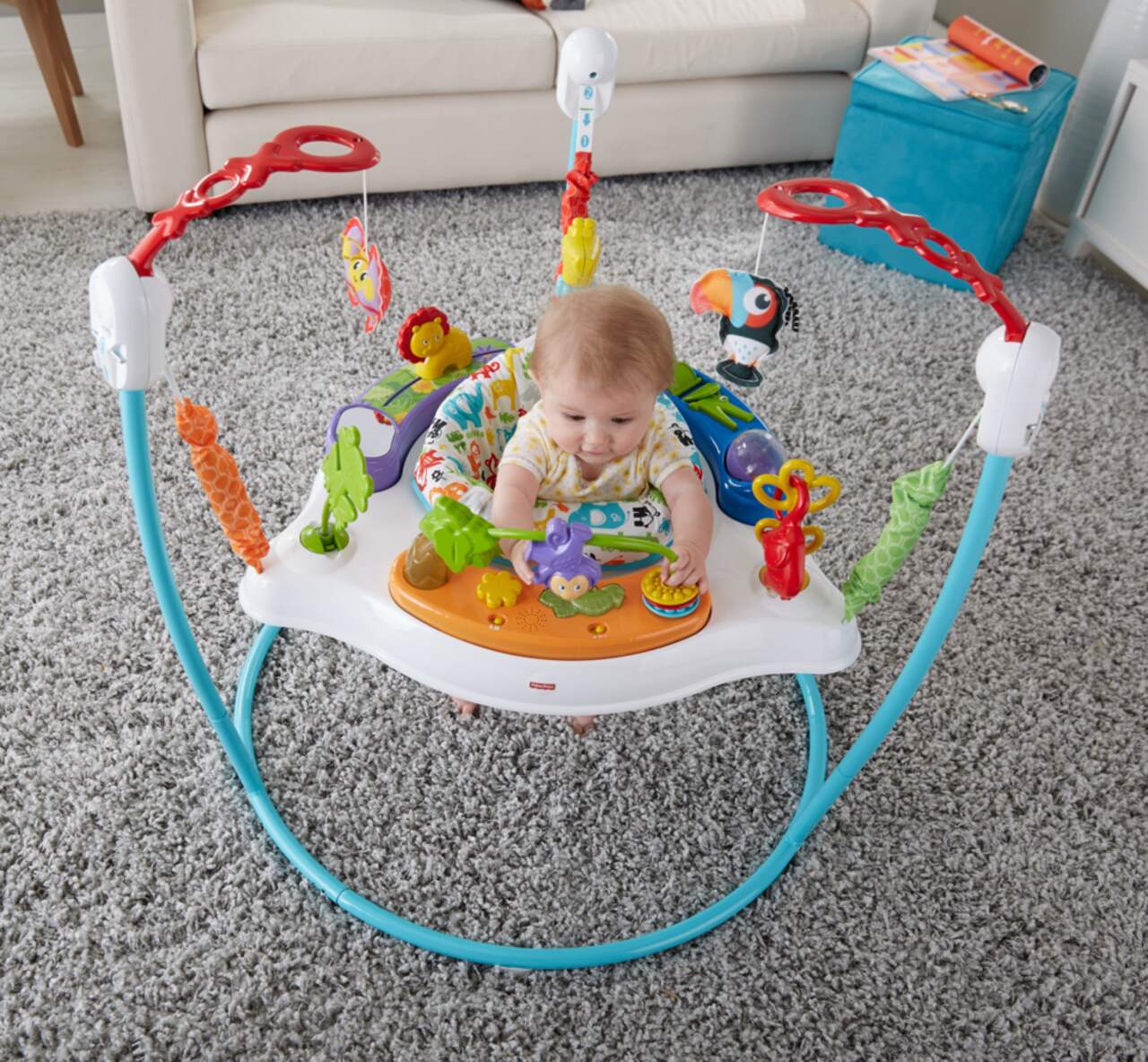 Fisher Price Animal Activity Jumperoo Canadian Tire