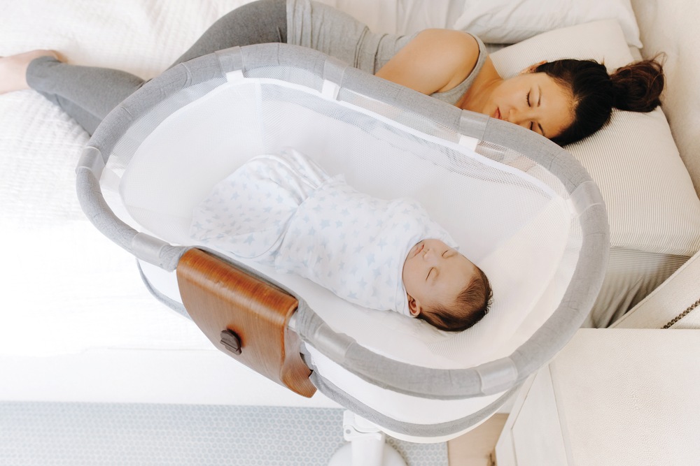 Halo BassiNest® Newborn Insert Canadian Tire