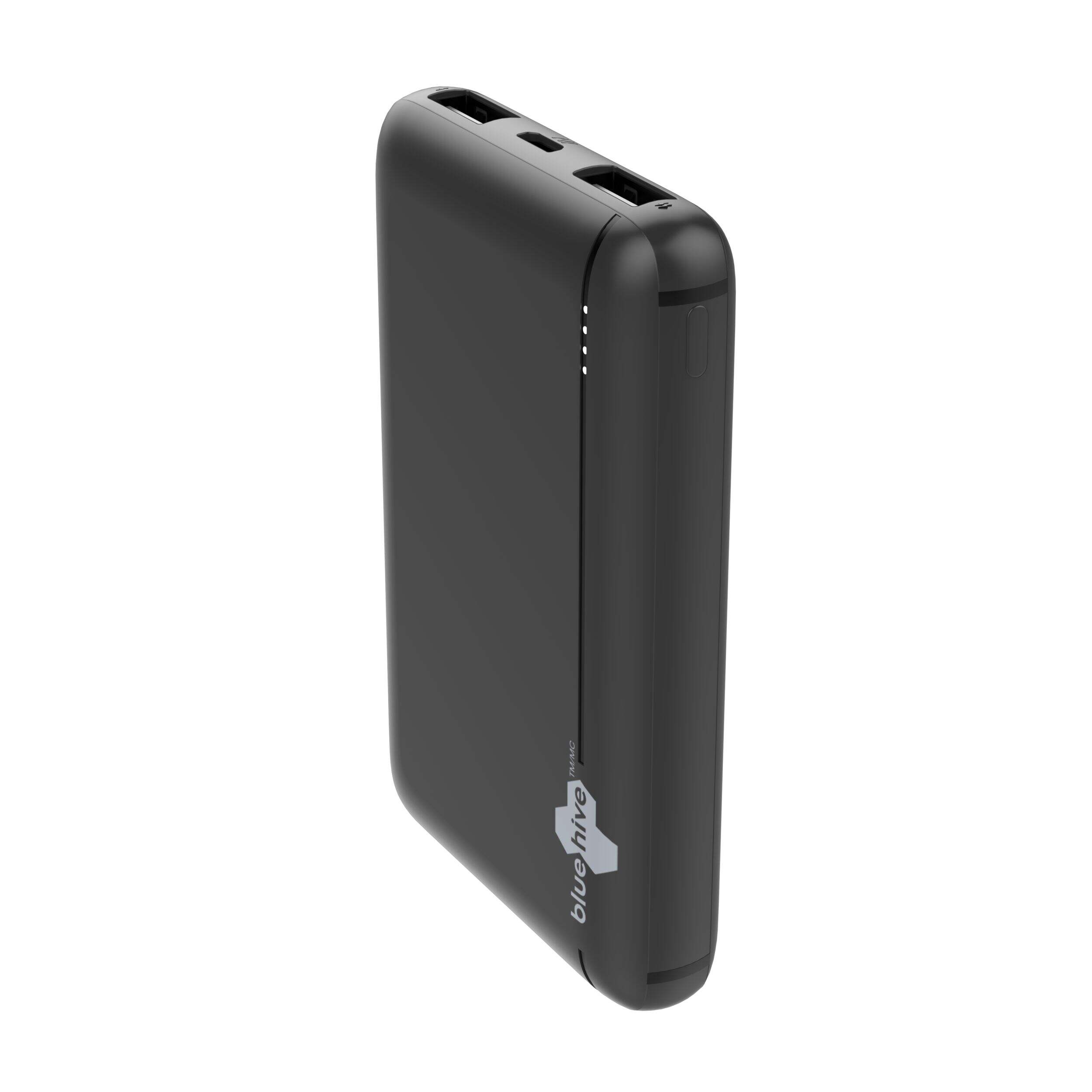 Bluehive 5,000 mAh Power Bank Canadian Tire