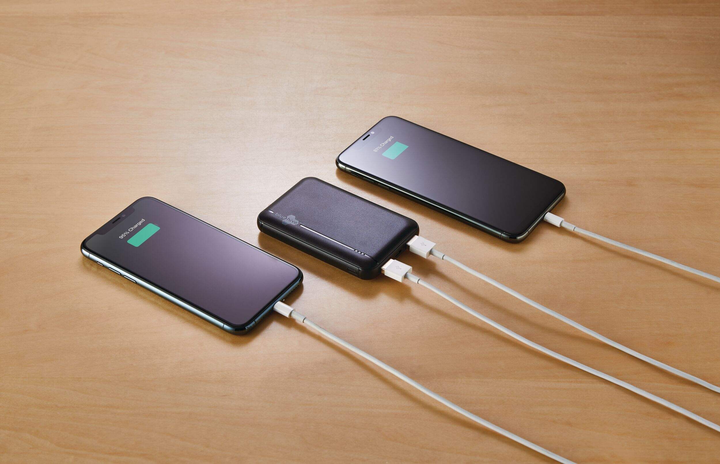 Bluehive 5,000 mAh Power Bank Canadian Tire