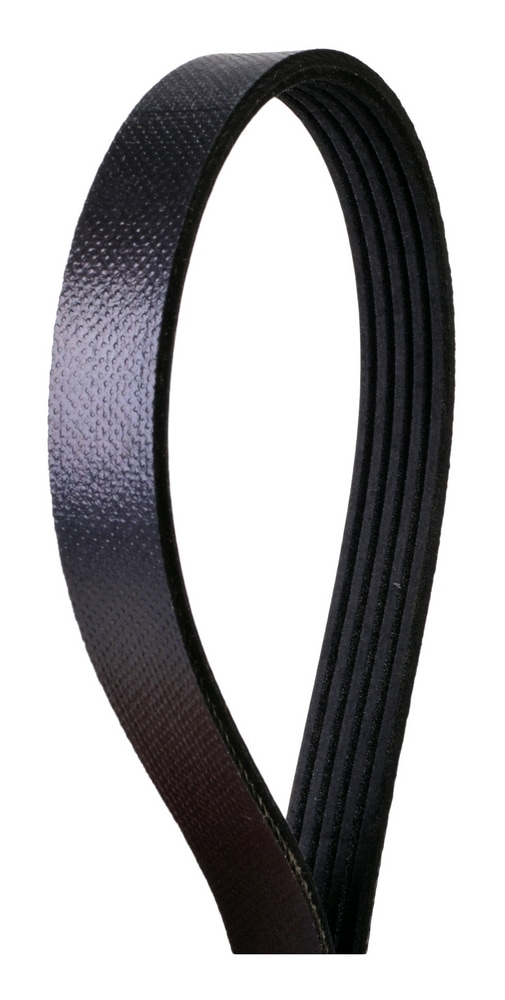 Continental Serpentine Belt Canadian Tire