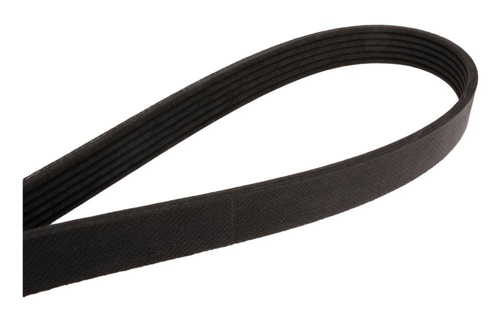 canadian tire serpentine belt