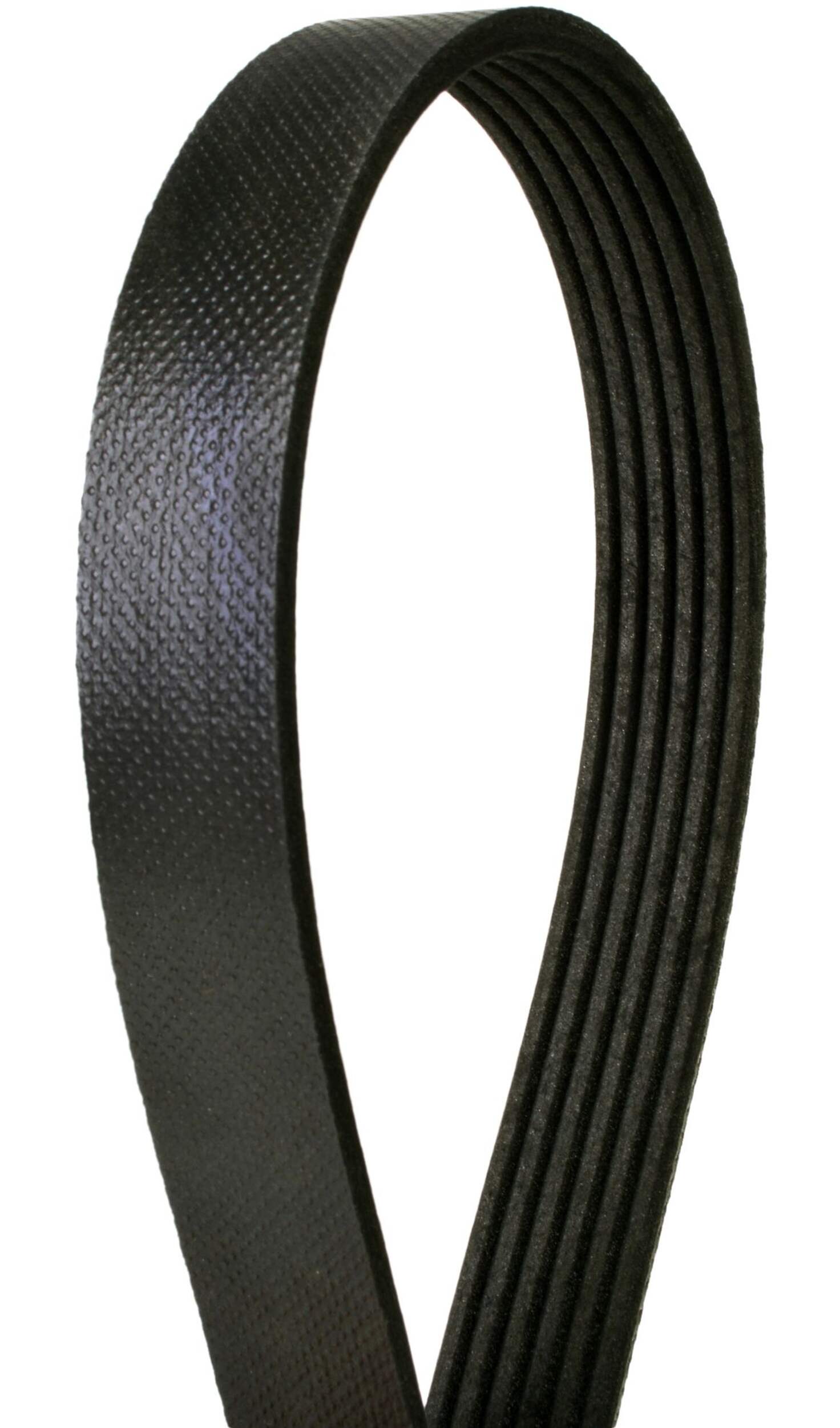 Continental Serpentine Belt Canadian Tire