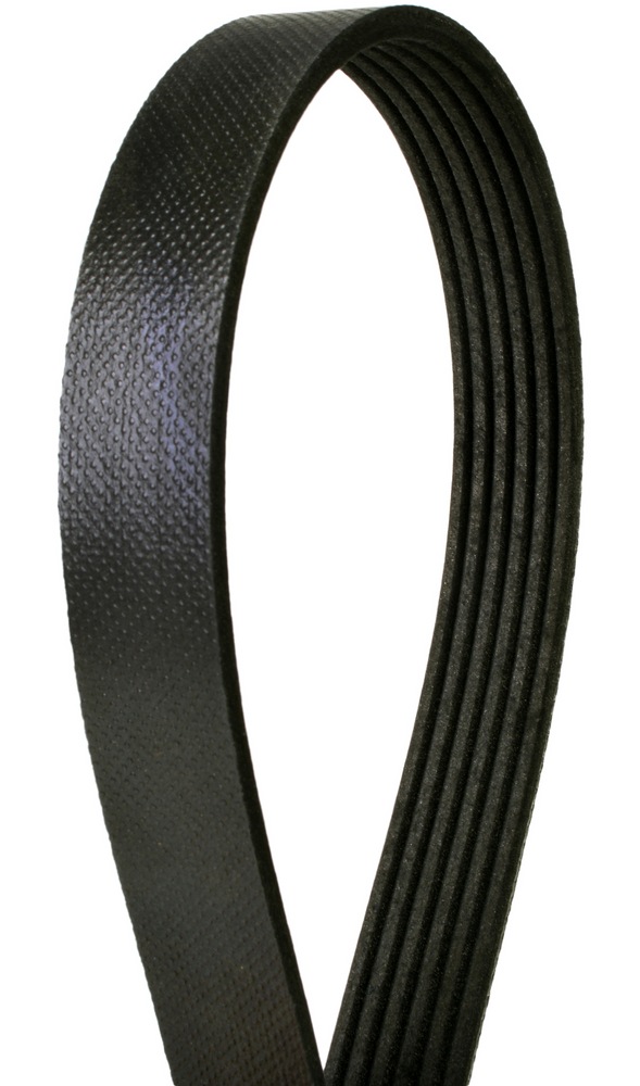 Continental Serpentine Belt Canadian Tire