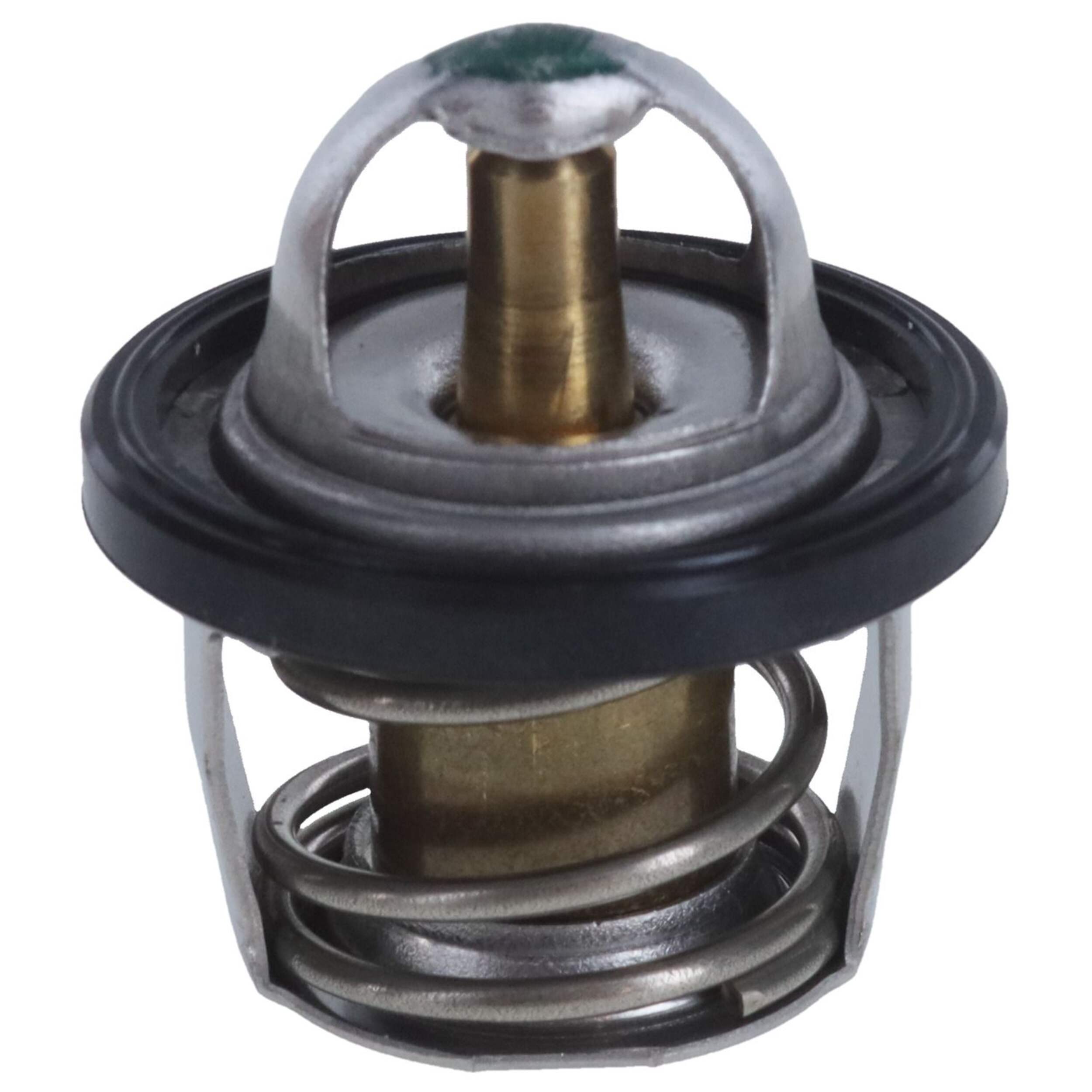 1336-196 THERMOSTAT