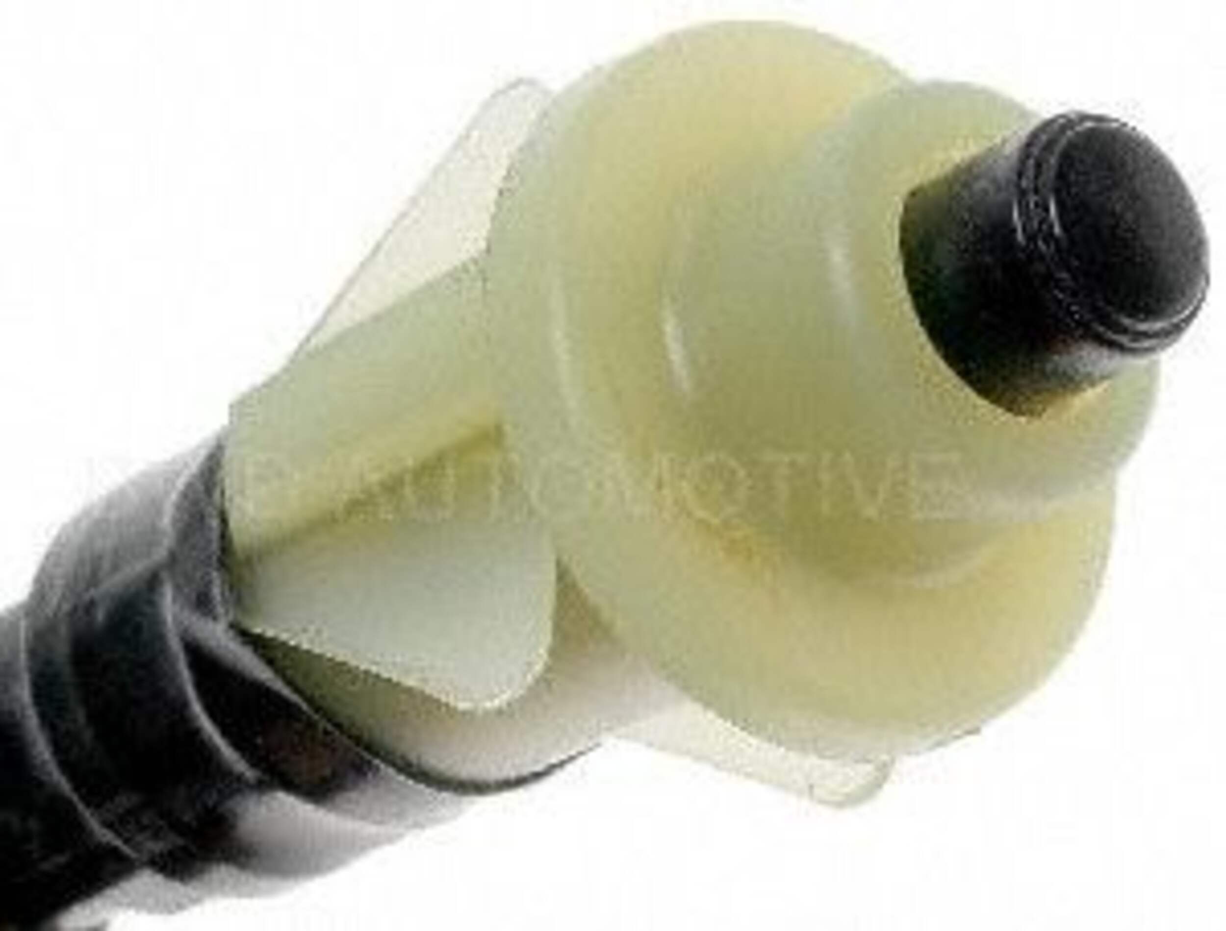 NS38036 CLCH STRT SF