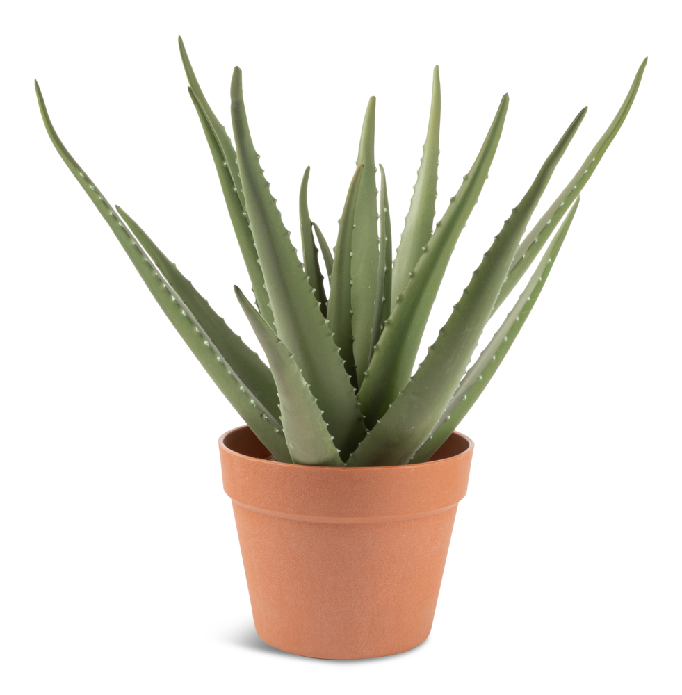 Naturae Décor Artificial Indoor/Outdoor Aloe Vera Plant in Terra Cotta ...