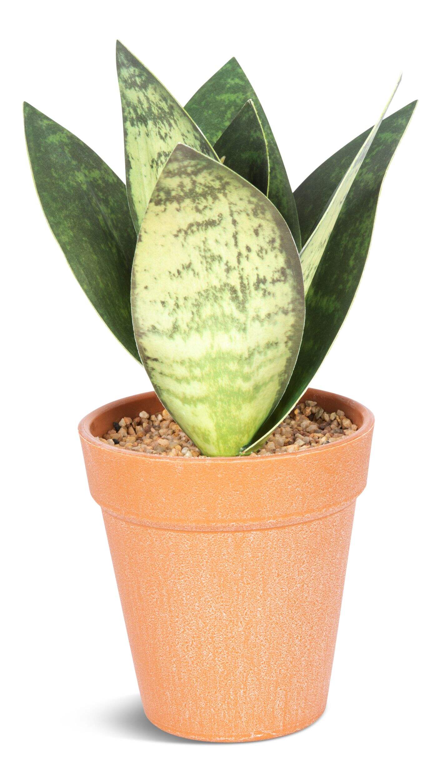 Naturae Décor Artificial Indoor Sanseveria Plant in Terra Cotta Pot, 8-in Front_Elevated