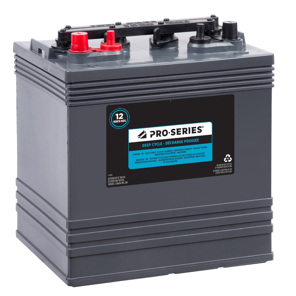 ProSeries Commercial Group Size GC8 8Volt Deep Cycle Auto/Car Battery Canadian Tire