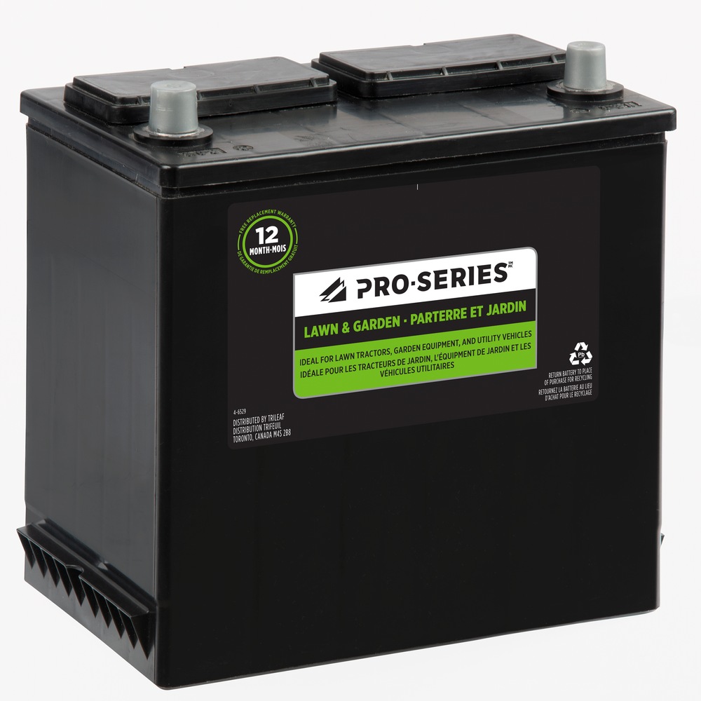 ProSeries Group Size 45 Small Engine Battery, 485 CCA Canadian Tire