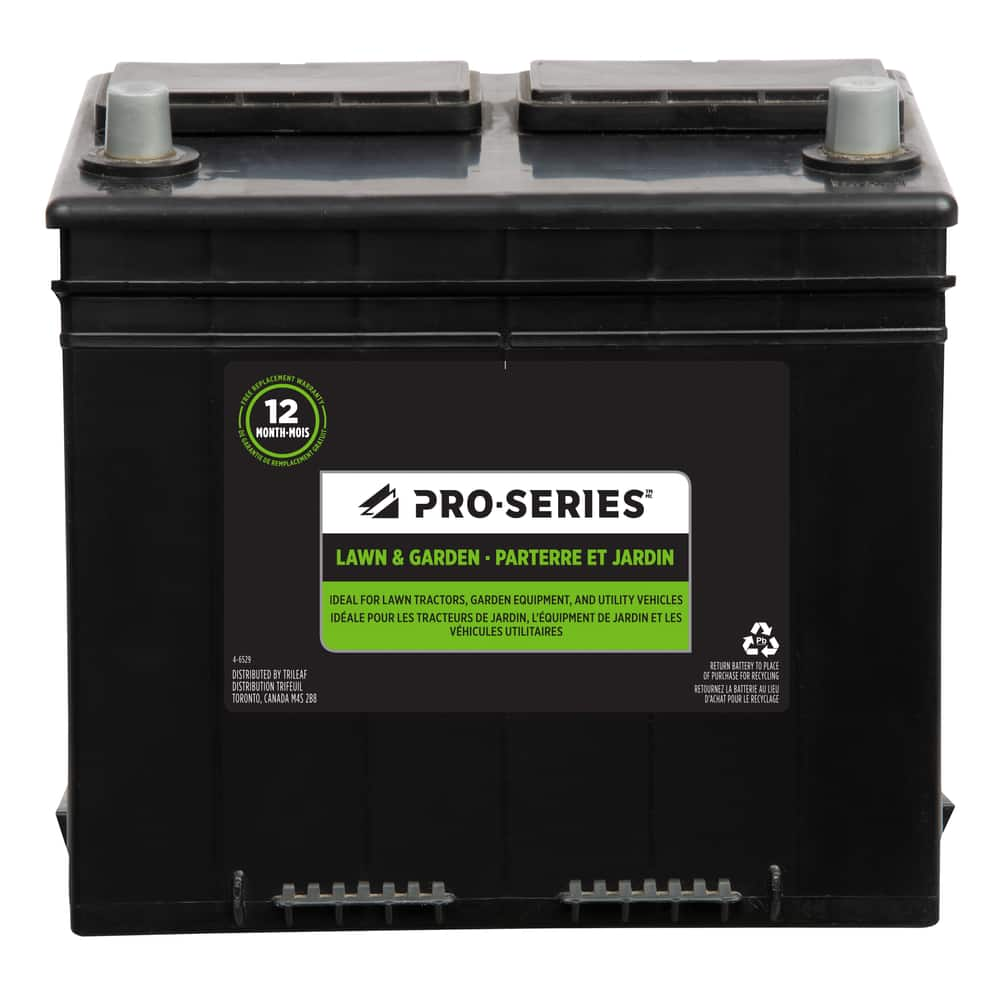 Pro-Series Group Size 22F Small Engine Battery, 425 CCA | Canadian Tire