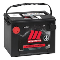 MOTOMASTER Group Size 75 Battery, 650 CCA Front_Angled_Right