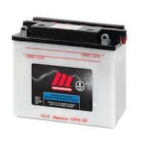 MOTOMASTER Powersports Battery, 16L-B Front_Angled_Left