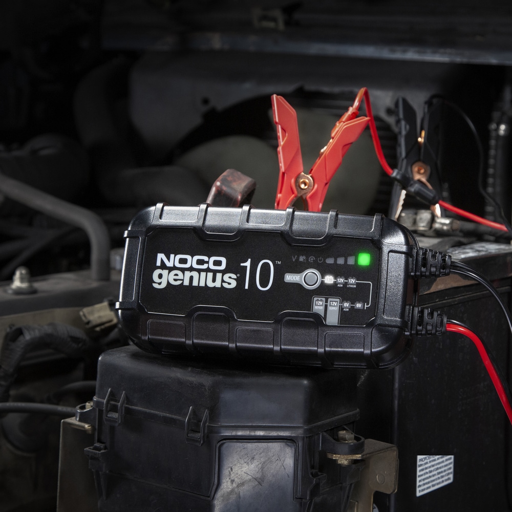 NOCO GENIUS10 Smart Battery Charger/Maintainer/Desulfator, 10Amp, 6V