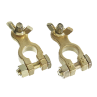 MotoMaster Marine Battery Terminals, Brass Overhead_Plunge
