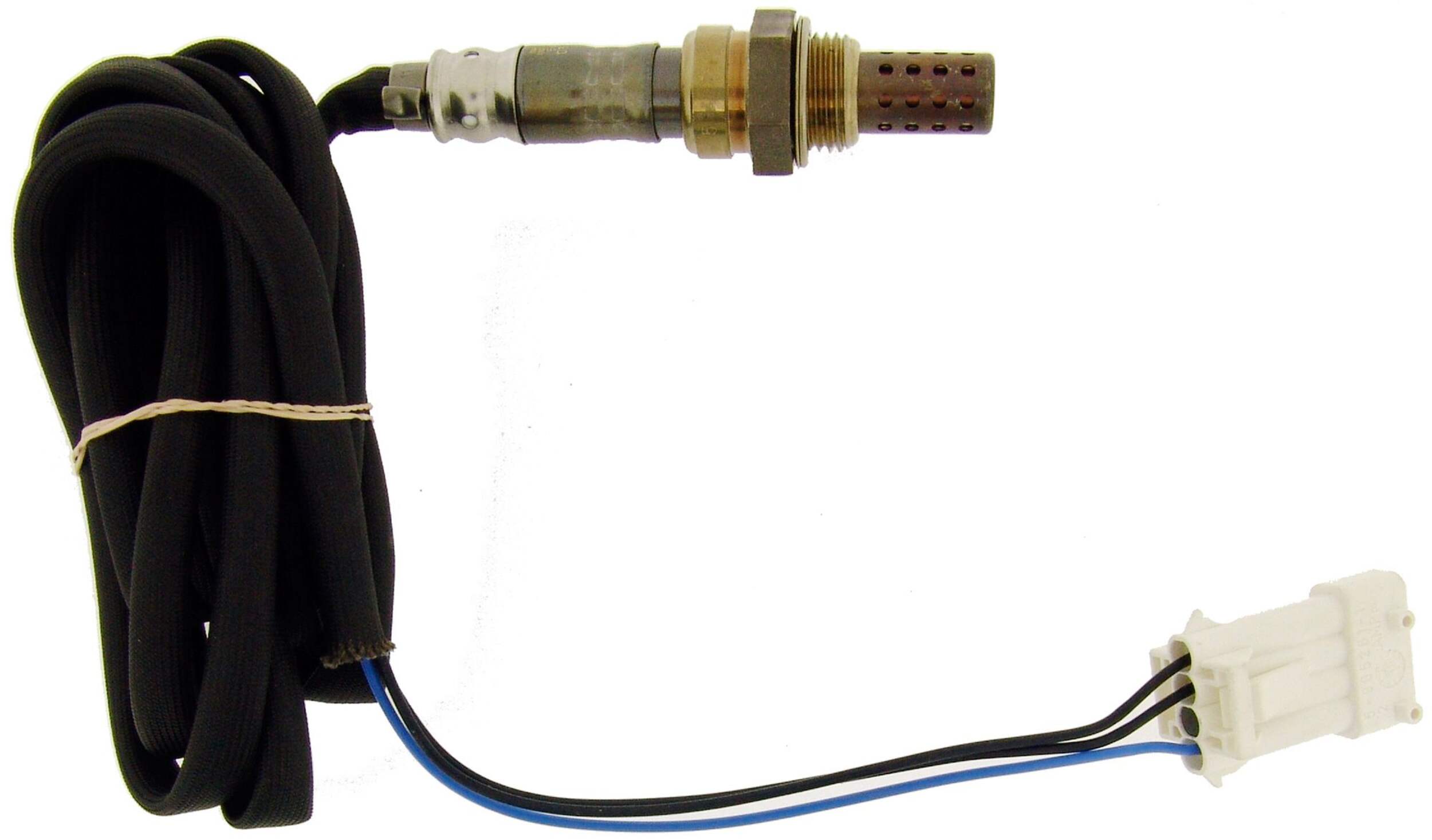 21066 SONDE OXYGÈNE