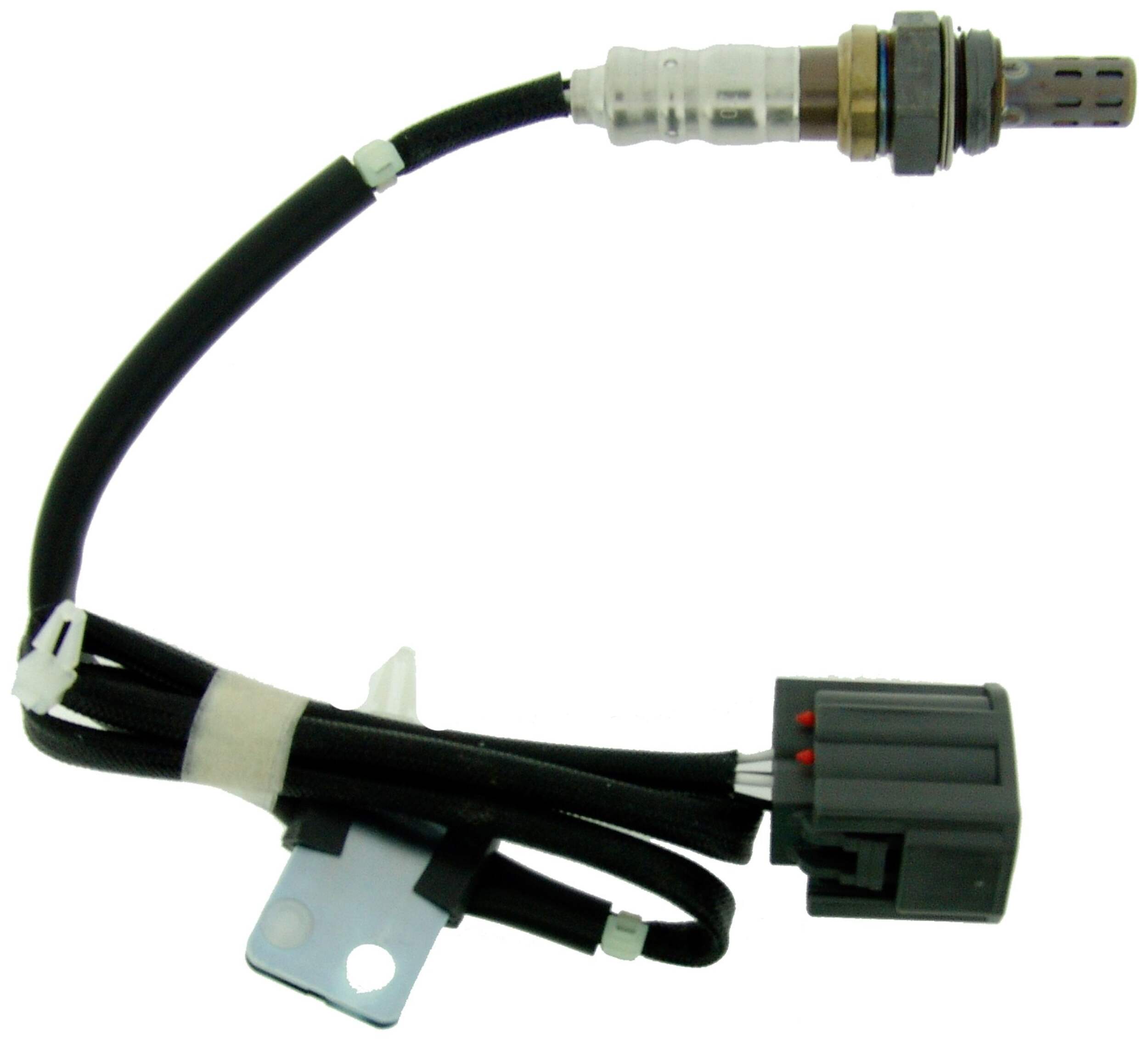 24446 SONDE OXYGÈNE