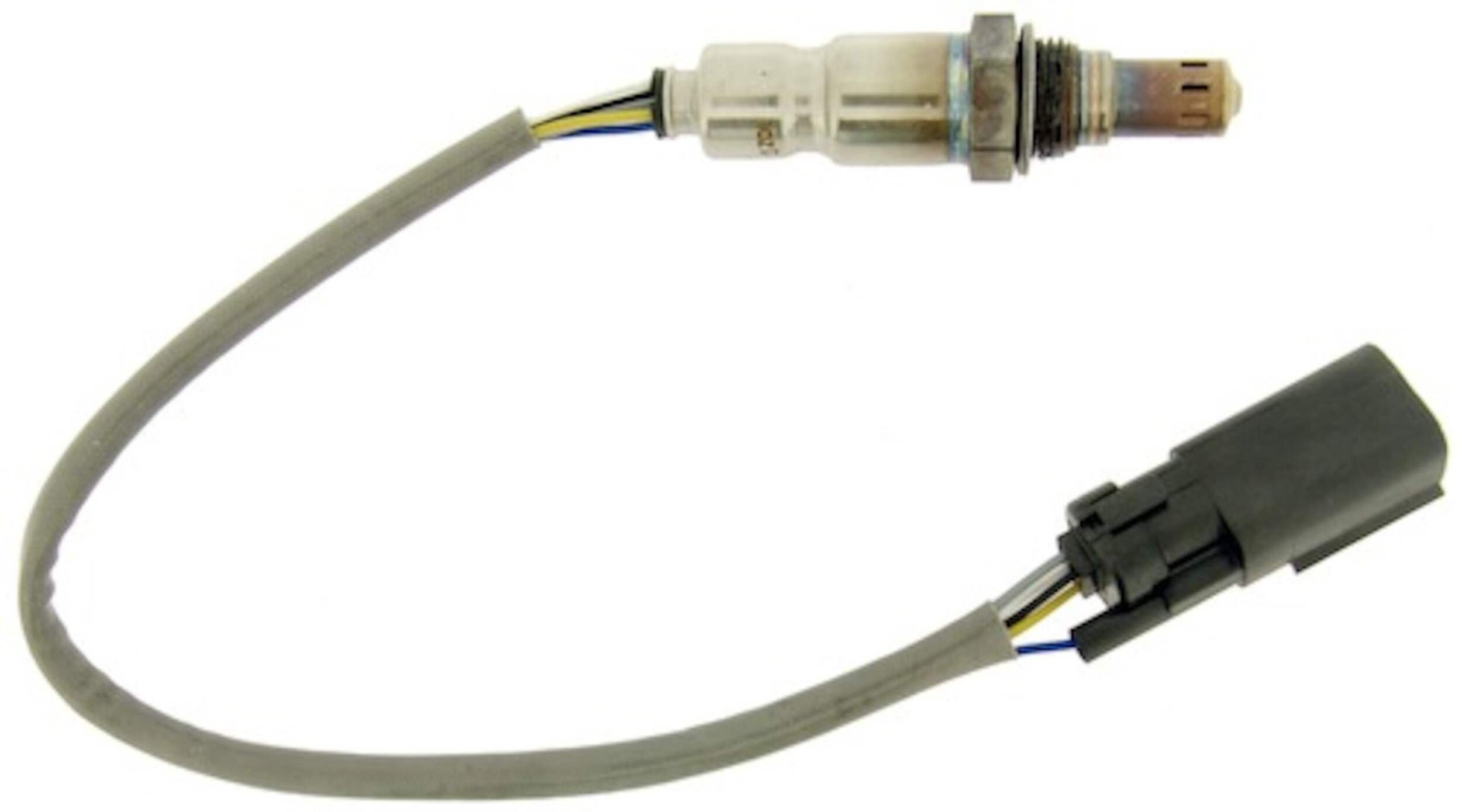 24388 SONDE OXYGENE