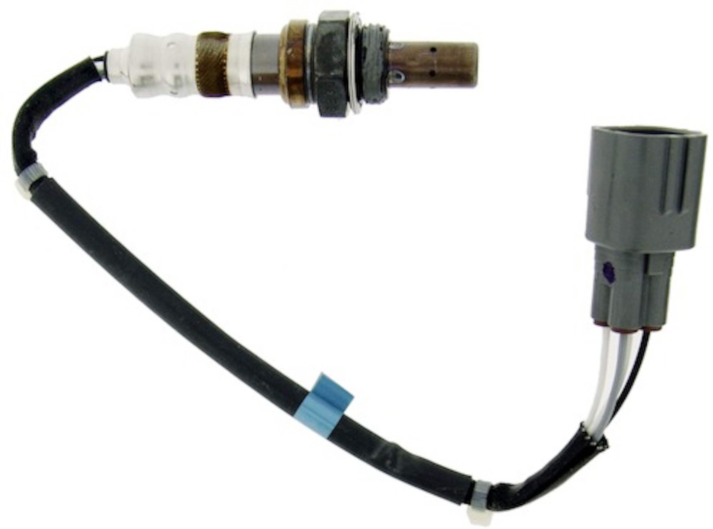 24456 SONDE OXYGENE