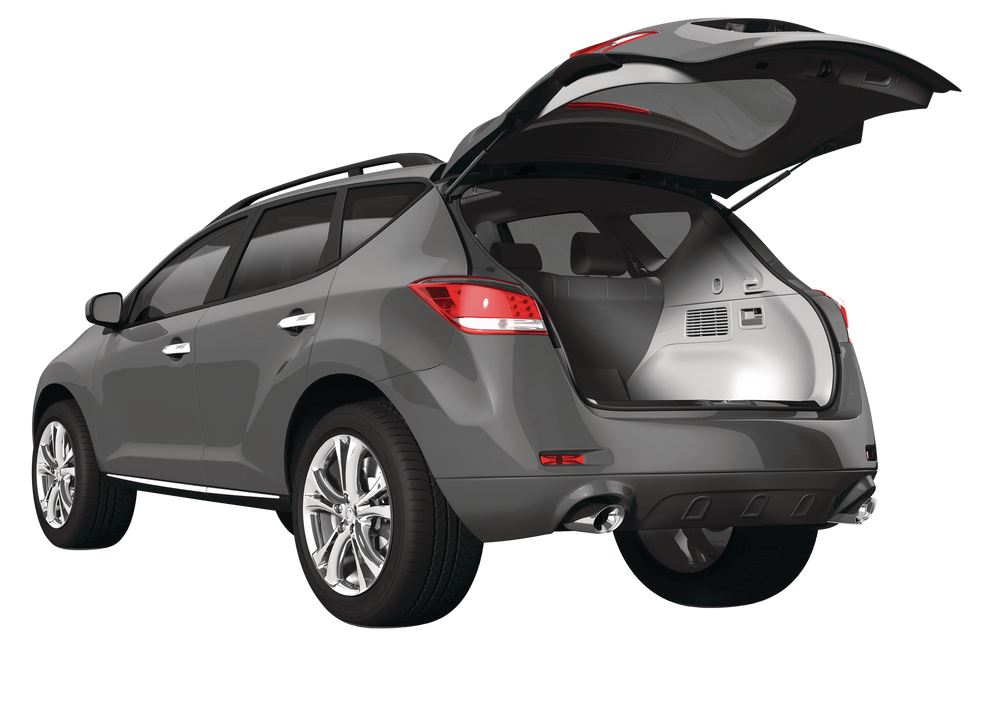 Strong Arm Lift Support Canadian Tire