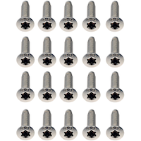 Dorman HELP! 45998 Stainless Steel Door Hinge Screws Overhead_Plunge