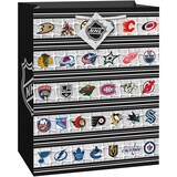 NHL Gift Bag, Large Front_Angled_Right