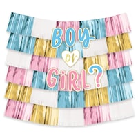 "Boy or Girl?" Plastic Fringe Scene Setter Background Decoration, Blue/Pink, 6.6-ft, 15-pk, for Gender Reveal Front_Flat