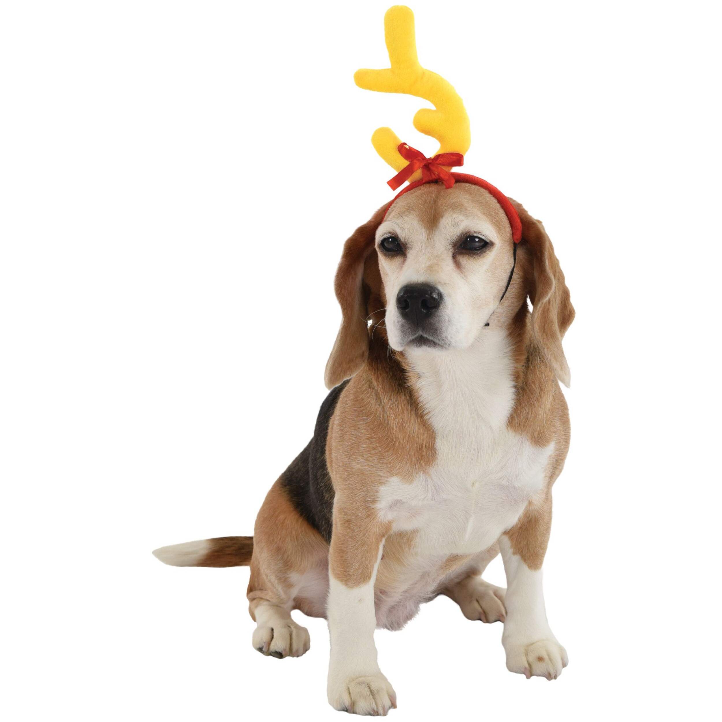 S-TÊ GRNCH ANML TP/P