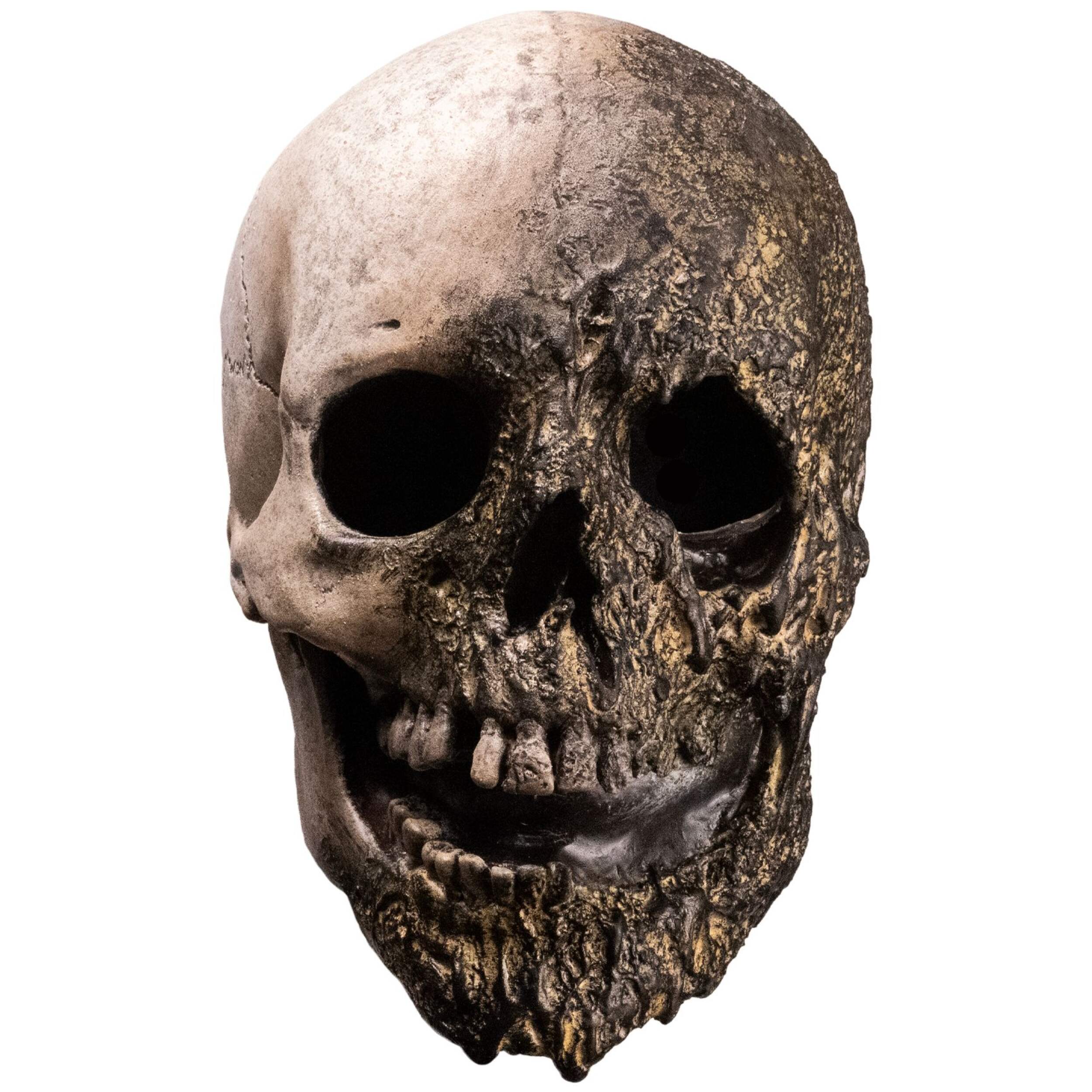 Fear Street Skull Burnt Decaying Mask, Brown, One Size, Wearable Costume Accessory for Halloween Front_Flat