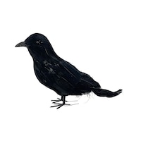 For Living Black Raven Halloween Decoration, 7.5-in Side_Left