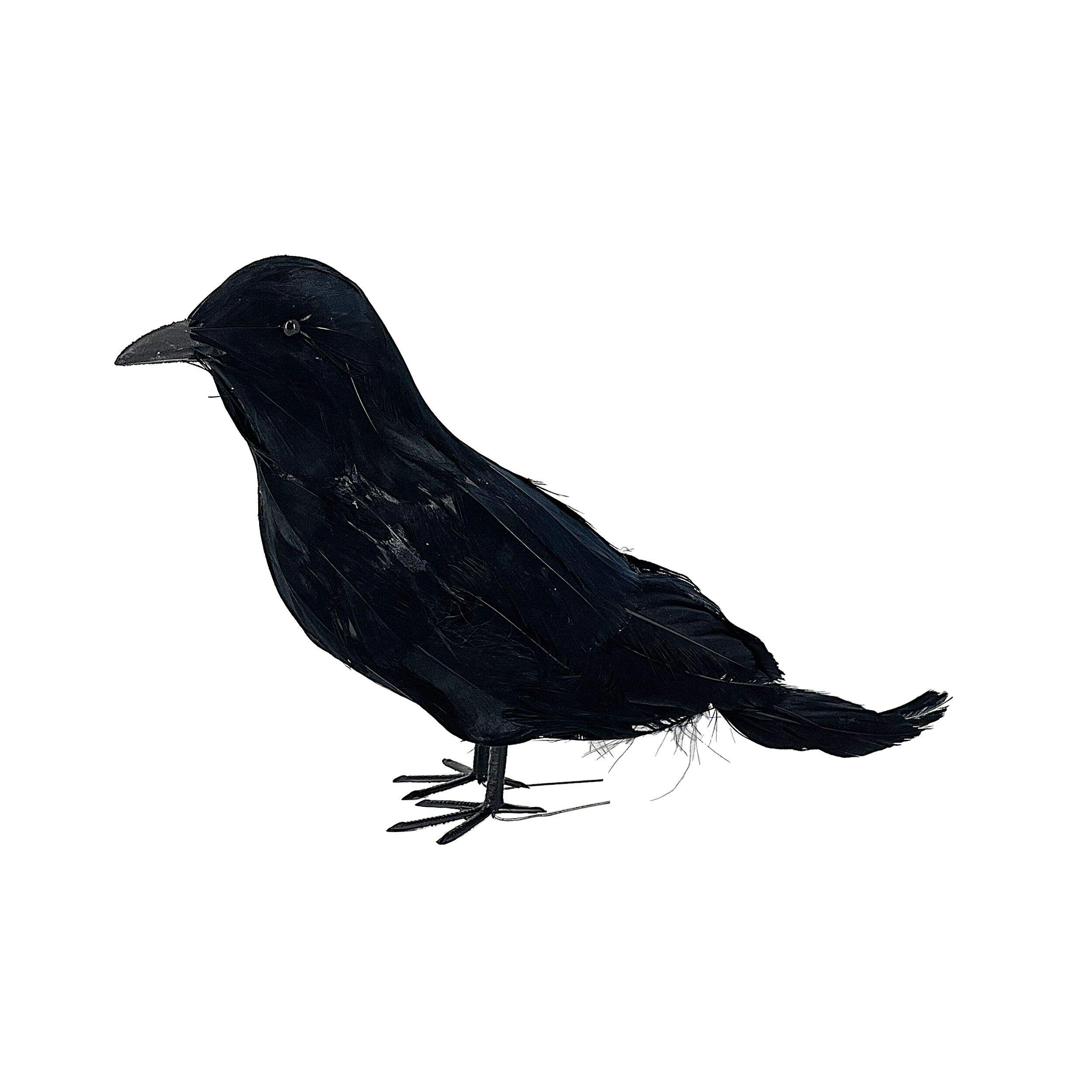 Corbeaux noirs décoratifs d'Halloween For Living, 7,5 po Side_Left