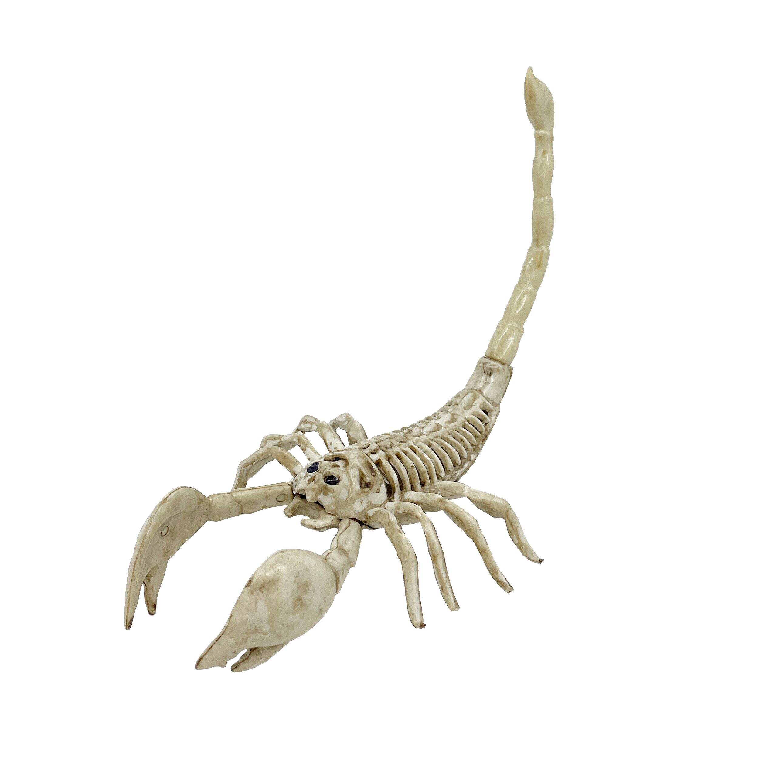 For Living Bone Colour Scorpion Skeleton Halloween Decoration Front_Three_Fourths_Angled_Left