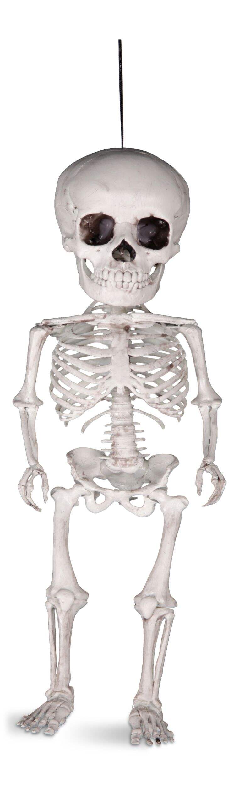 Skeleton Hanging Prop, White, 16-in, Indoor/Outdoor Decoration for Halloween Front_Flat