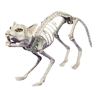 Skeleton Cat  Prop, White, 23.6-in, Indoor/Outdoor Decoration for Halloween Front_Three_Fourths_Angled_Left