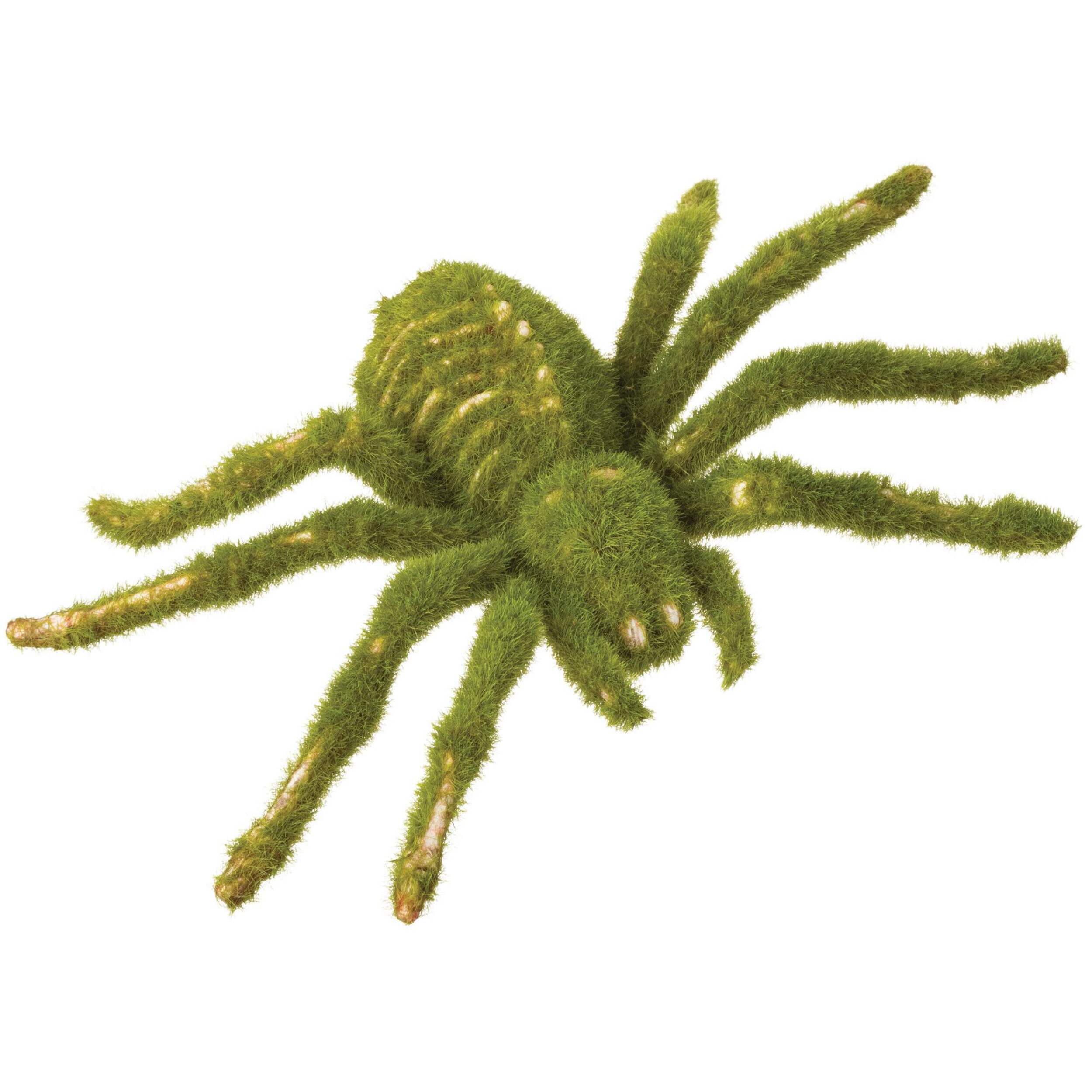 Spider Skeleton Moss Plastic Prop Decoration, Green, 4-in, for Halloween Front_Angled_Right