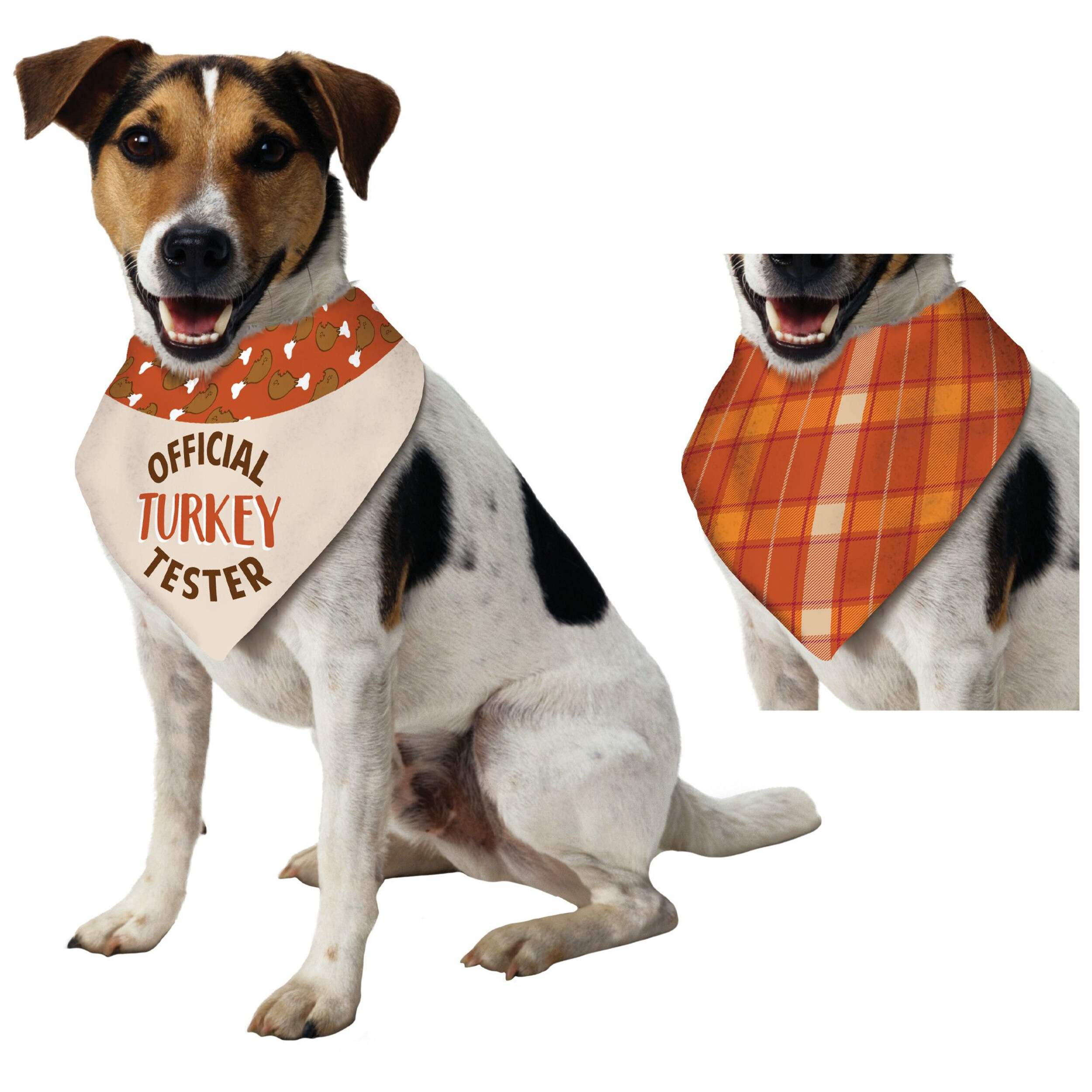 "Official Turkey Tester" Dog Bandana Wearable, Orange, Medium/Large, for Thanksgiving/Fall Front_Three_Fourths_Angled_Left