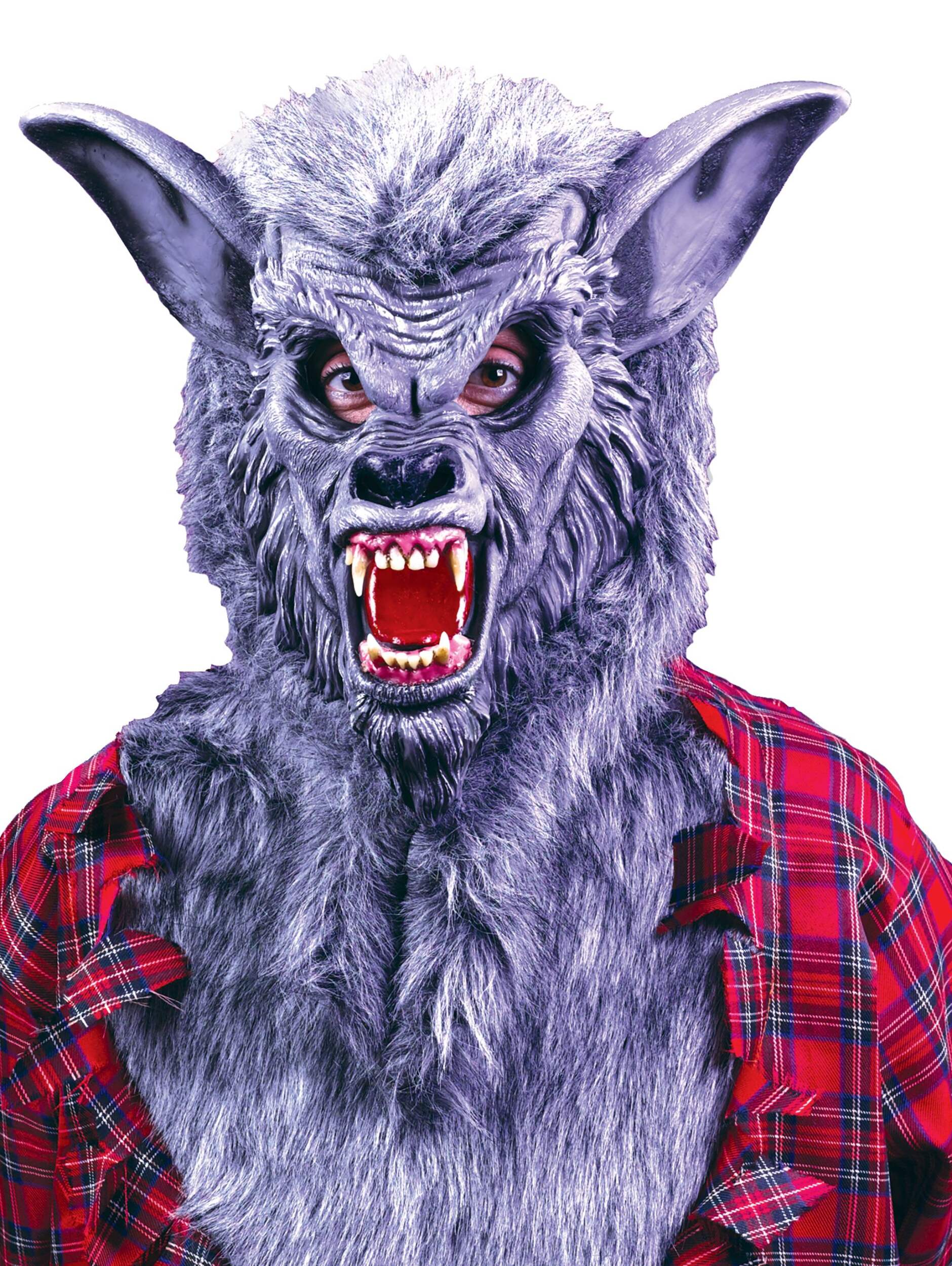 Grey Werewolf Mask with Teeth, One Size Front_Flat