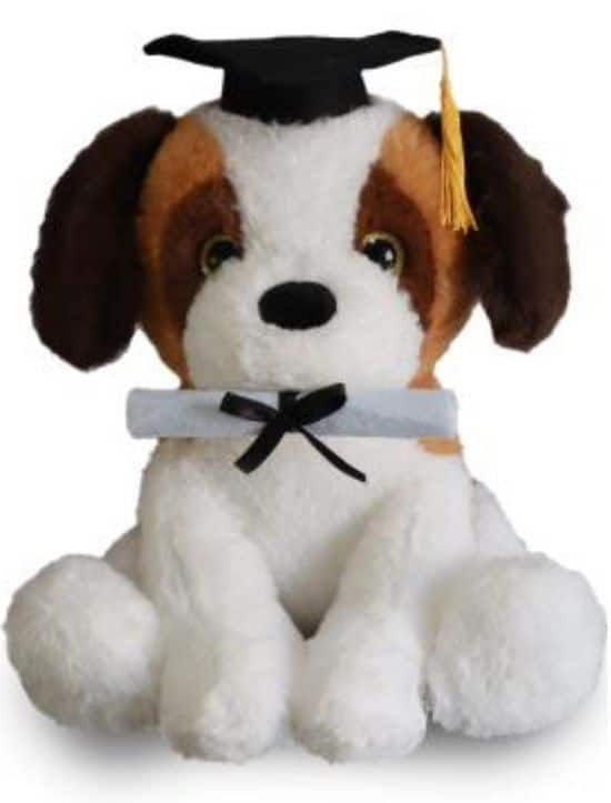 Graduation stuffed animals 2019 on sale