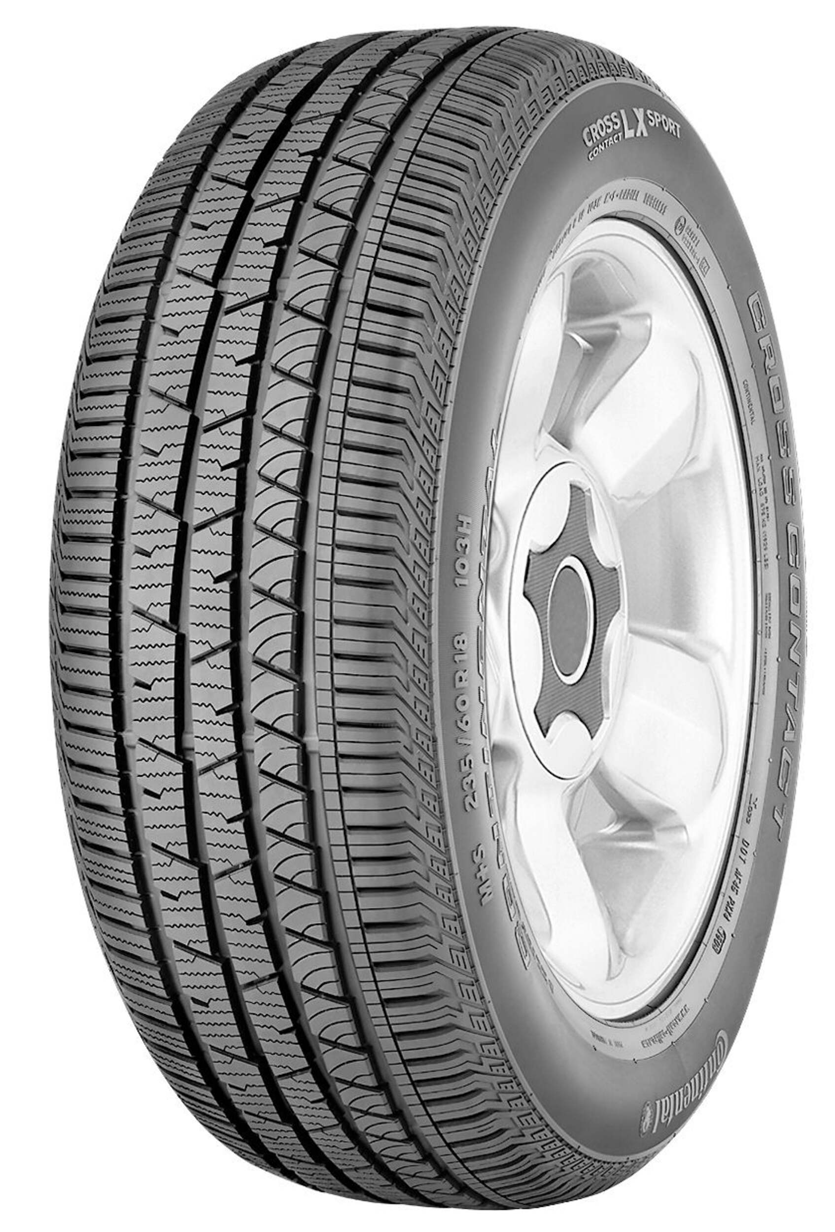 255/45R20 105H LXSP