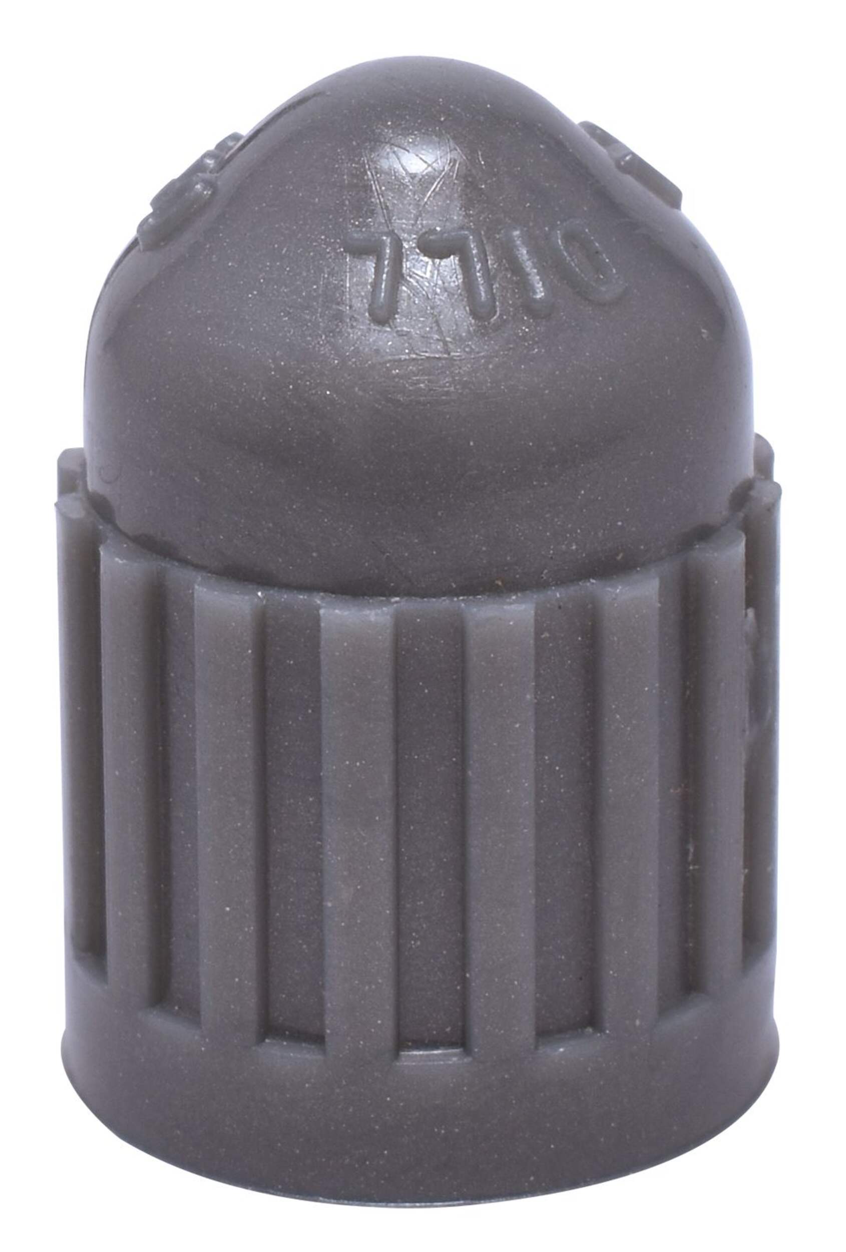 Dill Air Controls TPMS 630-N Valve Cap, Grey, 100-pk Front_Elevated