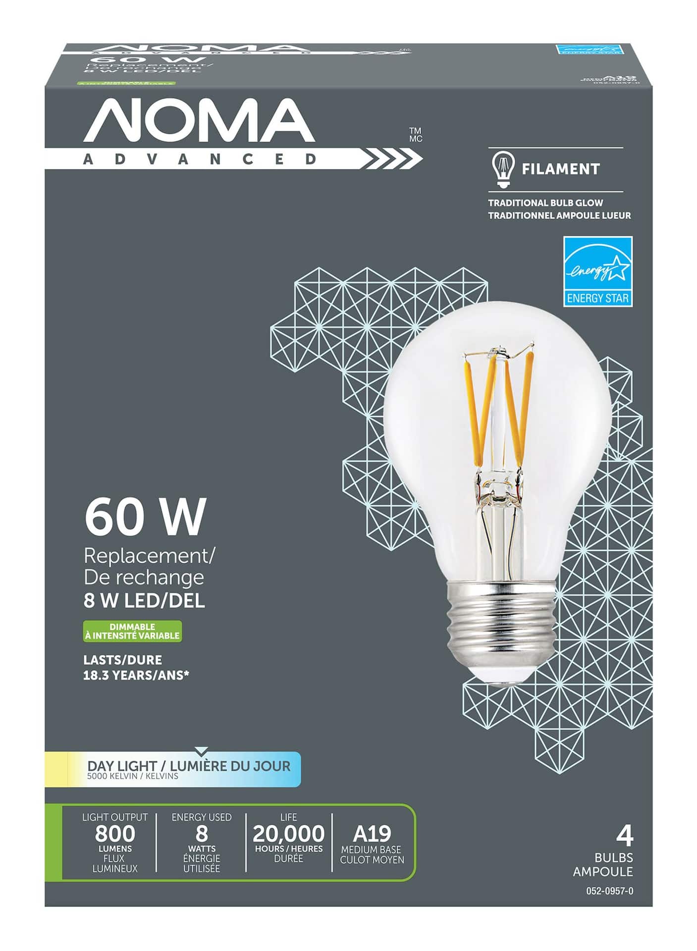 Ampoule incandescente, antichoc, A19, 60 W, 2/pqt