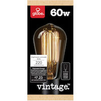 Globe Electric S-Type E26 Base Vintage Dimmable Light Bulb, 220 Lumens, 60W Front_Flat