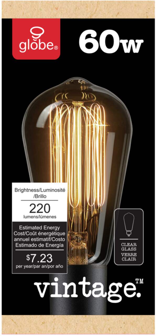 GLOBE ELECTRIC Ampoules Edison incandescentes S60, 60 W, paquet de