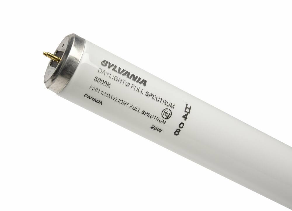 sylvania t12 fluorescent bulbs