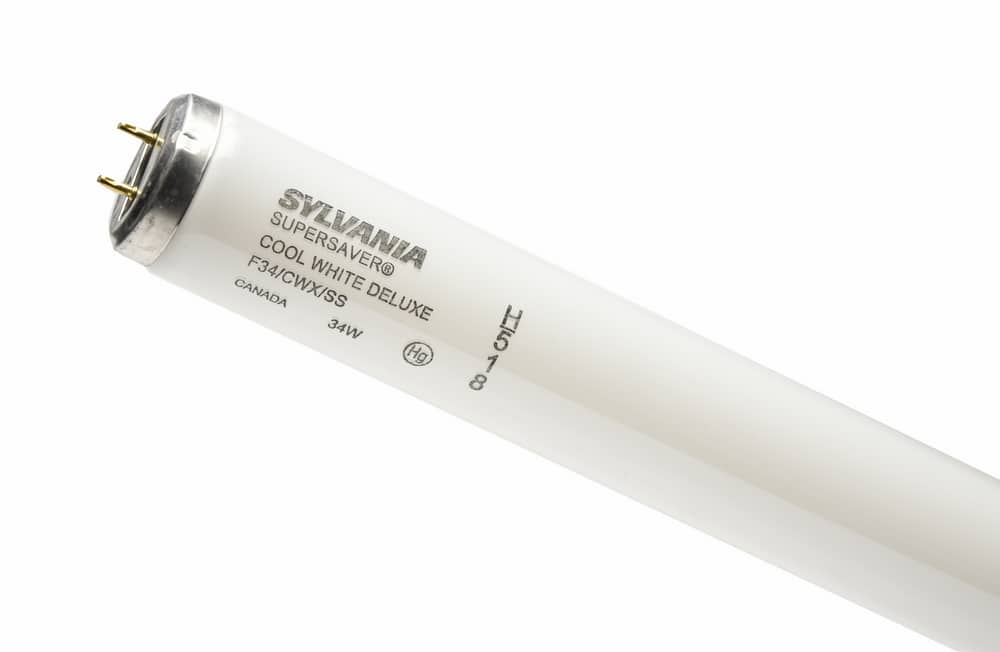 sylvania fluorescent bulbs 34w