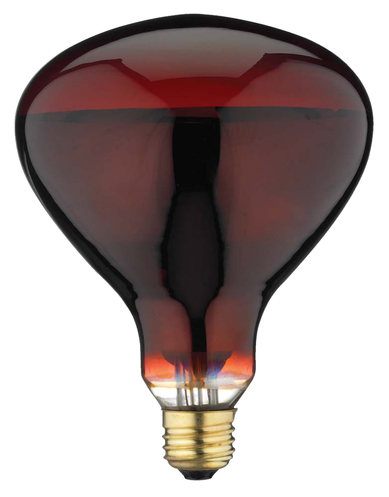 Ampoule rouge pour lampes chauffantes