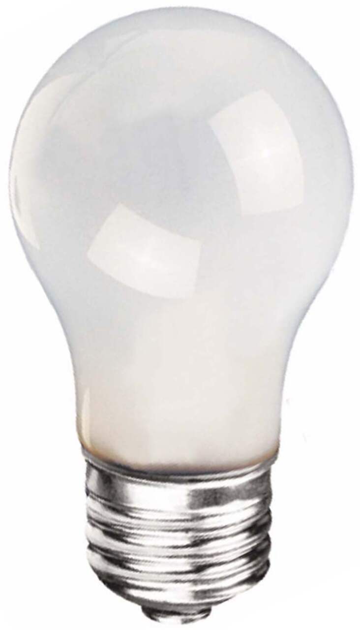 Ampoules de rechange givrées classiques A19, à usage général de GE
