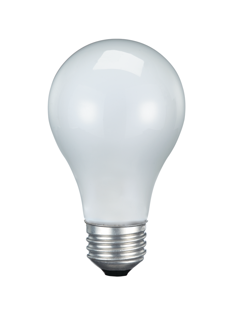 Ampoules incandescentes à intensité variable à culot E26 NOMA A19, 400