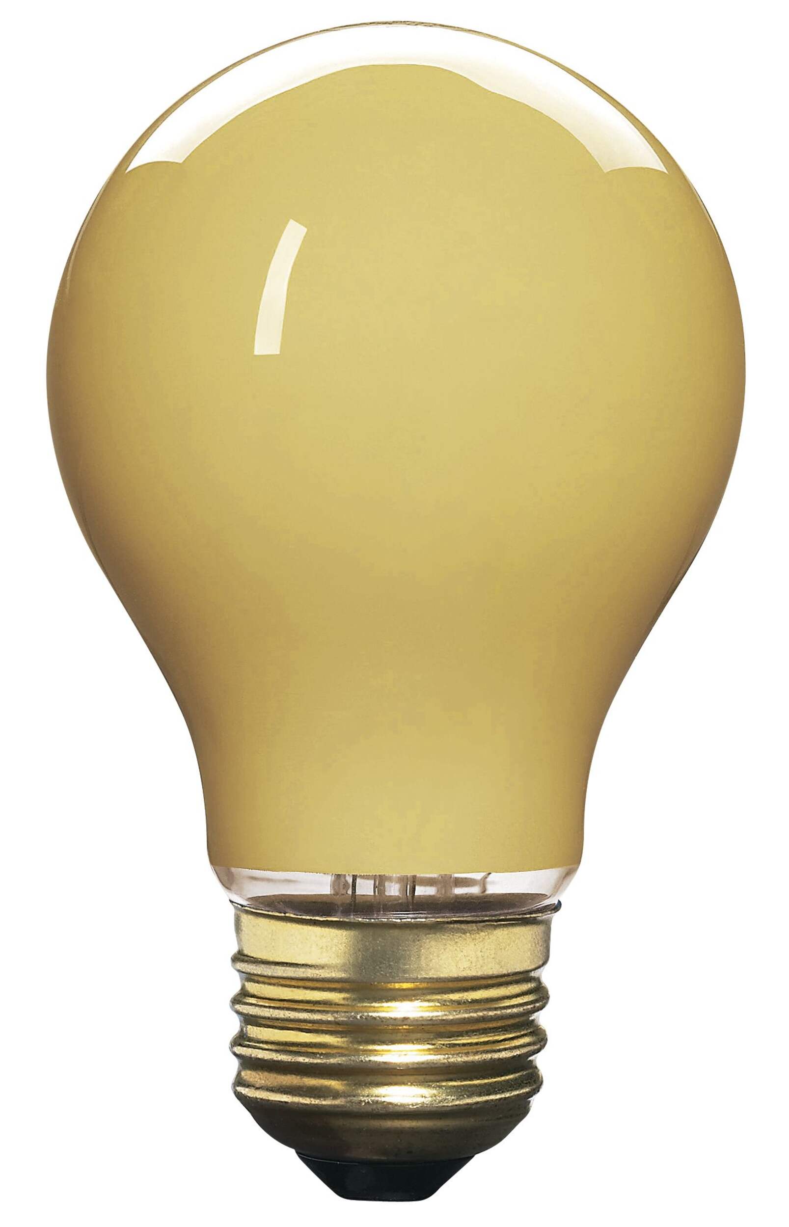 Ampoule incandescente à culot E26 à intensité variable NOMA A19, jaune, 60 W Front_Flat